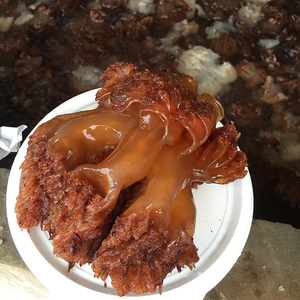 野生海蜇头 海蛰头海蜇桶装海蜇包邮 绵哲头 海折头海蜇包邮五斤