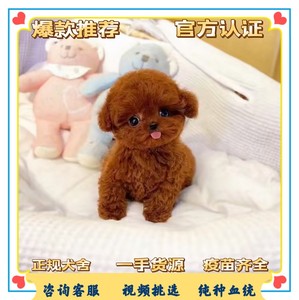 豭ȮͼƬ_豭ȮǮ_豭Ȯ۸豭ȮǮ豭