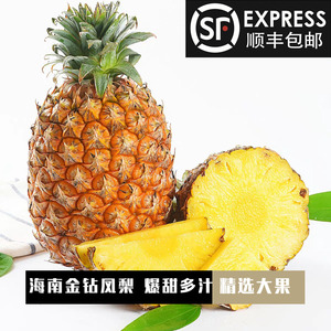 新鲜水果牛奶黄金无眼菠萝树上熟甜蜜多汁0人付款49