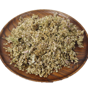 野生扎蒙蒙花山葱花内蒙古扎蒙花特产麻麻花摘麻花调料干野韭菜花