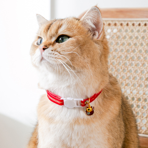猫咪脖子带的小铃铛