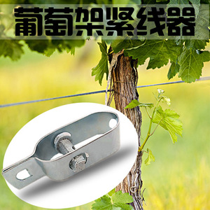 葡萄树拉紧器葡萄架专用紧线器钢丝收紧器蔬菜大棚果树搭架拉紧器