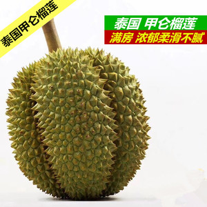 甲仑榴莲 泰国满5房包肉新鲜老树现摘甲仑产地直发长柄托曼尼榴莲