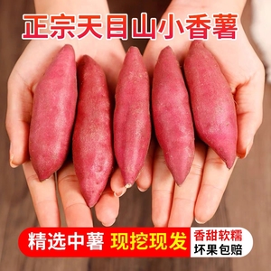 临安天目山小香薯旗舰店拇指小红薯新鲜地瓜板栗山芋番薯5斤迷你