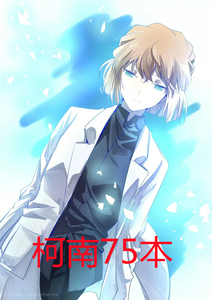 灰原哀本子