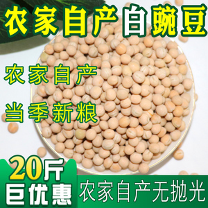 东北地产白豌豆豌豆新鲜杂粮鸽粮豌豆鸽子饲料20斤10kg包邮