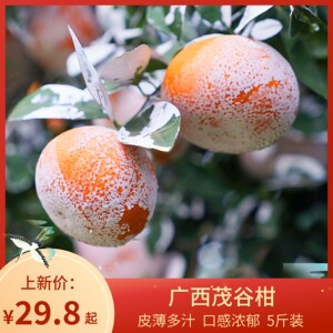 豆尚广西武鸣茂谷柑橘子酸甜多汁脏脏柑新鲜大果当季水果石灰柑橘