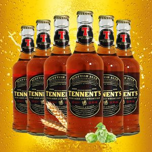 punkhop_酒屋淘宝1月日期  英国原装进口 替牌/t牌啤酒 500ml*6听