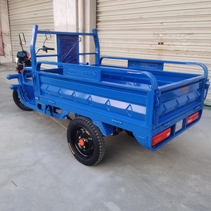 金鹏电动三轮车载重王