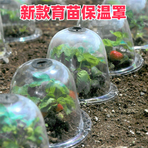 育苗保温罩专用透明育苗盒带盖子植物种植透气保暖防水种园林园艺