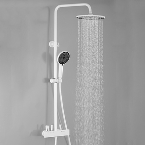 德国工艺哑光白色花洒套装卫生间淋浴挂墙大顶喷浴室时尚卫浴全铜