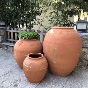 陶缸景观