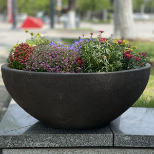 碗状花盆-淘宝拼多多热销碗状花盆货源拿货 - 阿里巴巴货源