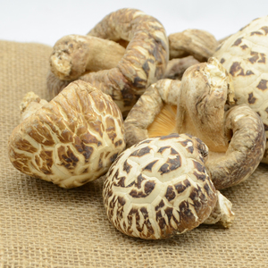 新货土特产优质古田香菇 花菇 干货 农家 椴木大花菇 250g