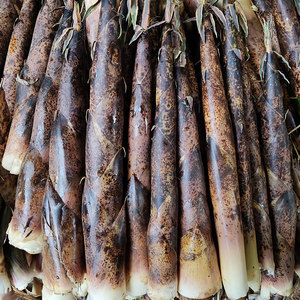 5斤包邮 现拔带壳新鲜小竹笋花壳笋建宁麻笋水笋