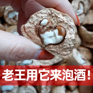 广西野生风流果泡酒特级正品可配双肾子阴阳子锁阳黄芪泡茶熬汤