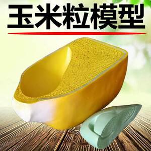 玉米籽模型 种子结构 芽胚发育过程单子叶双子叶植物茎桃花小麦花