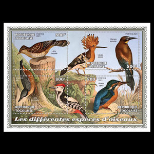 翠鸟戴胜啄木鸟鸟类动物小版张邮票全新多哥2021