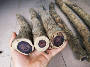 紫檀柳木料原木老料