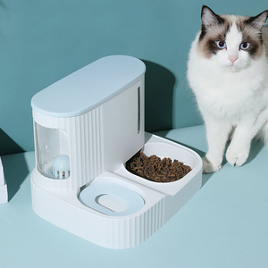 喂水瓶猫