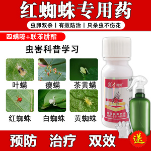 杀红蜘蛛专用药杀虫剂月季玫瑰绣球茉莉花植物花卉盆栽通用杀虫药