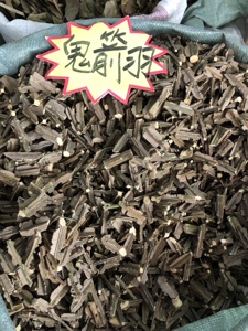 鬼箭羽中药材 500克包邮正品鬼见羽 卫矛六月凌 鬼箭鬼见愁