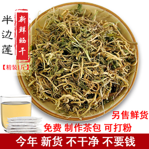 半边莲包邮野生新鲜急解索瓜仁草水仙花半边花中药新货500克1袋