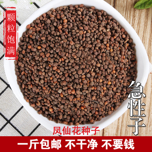 急性子500克包邮凤仙花种子金凤花子凤仙子指甲花籽包发芽1斤装