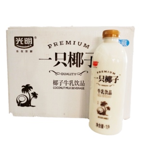 一只椰子光明整箱