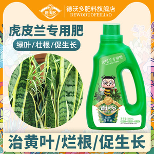 虎皮兰肥料专用肥营养液金边虎尾兰家用盆栽植物通用土水培叶面肥