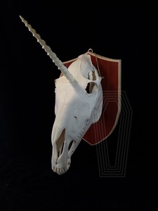 【独角兽头骨】独角兽头骨品牌,价格 - 阿里巴巴