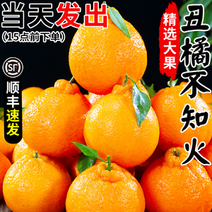 四川不知火丑橘水果新鲜10当季整箱桔子耙耙粑粑丑柑橘子包邮斤