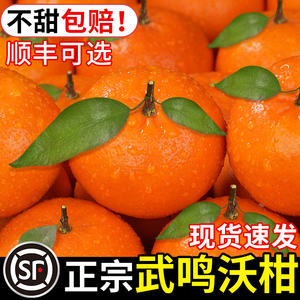 广西武鸣沃柑10新鲜水果当季整箱一级纯甜皇帝蜜橘砂糖柑桔子