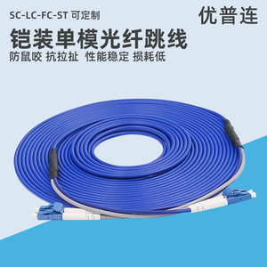防鼠铠装光纤跳线SC转LC-FC-ST单模双芯两芯成品光钎线钢丝铠尾纤