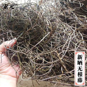 农家新鲜无根藤 无头藤 青藤 罗网藤中草药菟丝子无根草青丝藤