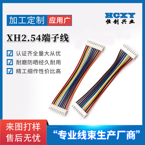 XH2.54MM单头/双头端子线彩排线2P-12P电子连接线 长度10/20/30CM