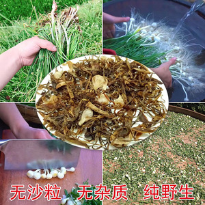 农家精选纯野生小蒜安徽宁国土特产山货小根蒜野葱野蒜干新货500g