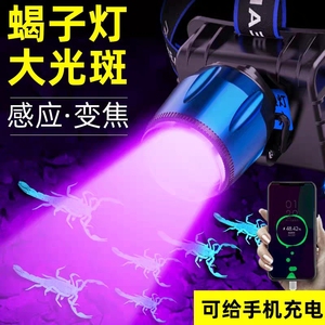 LED感应头灯强光可充电紫光蝎子灯照蝎专用超亮头戴式夜钓鱼灯
