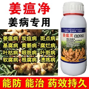生姜沙姜姜瘟净大姜烂脖子枯萎黄叶茎基腐病姜瘟炭疽病专用药