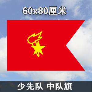 小学中队旗