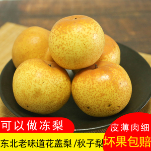 东北辽宁绥中特产花盖梨新鲜黄梨5斤秋子梨孕妇当季水果可做冻梨
