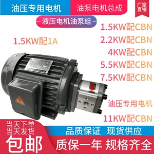 液压电机 内插式电机油泵组 0.75KW 2.2KW 3.75KW 5.5KW 搭配CBN
