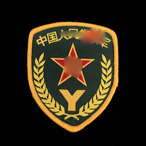 衣服上拆下来的87臂章87式96预备役臂章军迷收藏退役纪念老式袖标