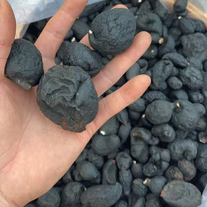 乌灵参干货50g鸡枞蛋雷震子乌苓参