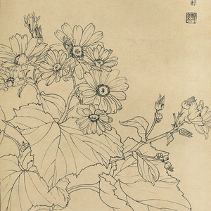 白描百花图谱 工笔花卉资料电子版