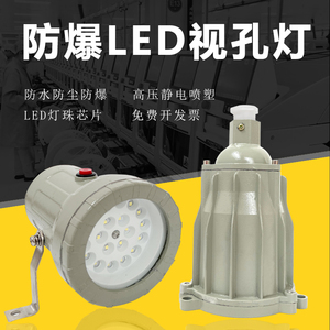 LED防爆视孔灯 反应釜视镜灯 探照灯低压36V12V矿用灯220V内视灯