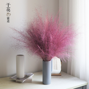 网红粉黛乱子草干花染色干花展会场景布置装饰客厅摆设花拍摄道具