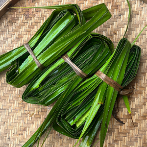 包粽子用野生露兜叶30张新鲜广西天然假菠萝叶野菠萝叶勒古叶食用