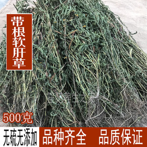 野生中药材新货软肝草 铁甲草 益肝草 500克包邮