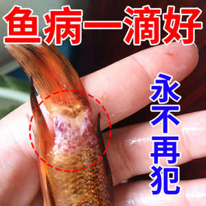 007人付款天猫观赏鱼烂尾烂身烂肉万能鱼病金鱼药杀菌剂锦鲤鱼缸